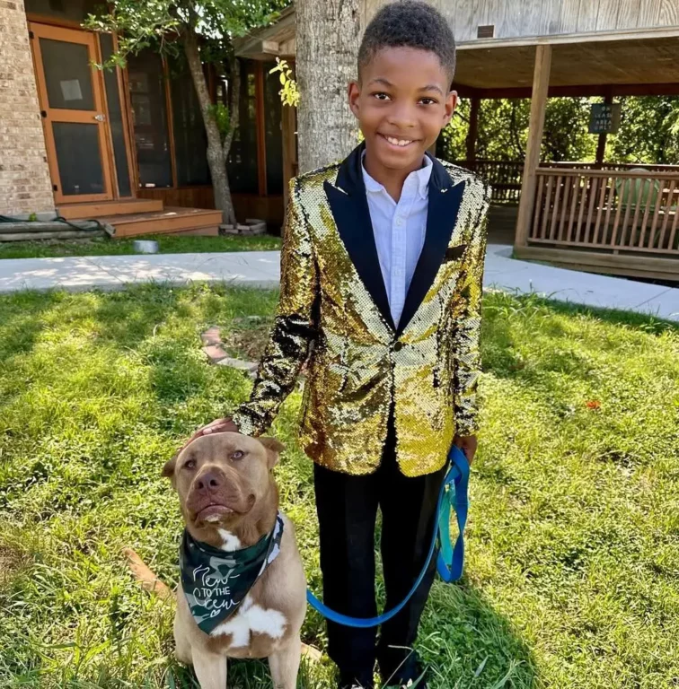 Menino se veste de gala para adotar cachorro: veja essa história! 1 image 7