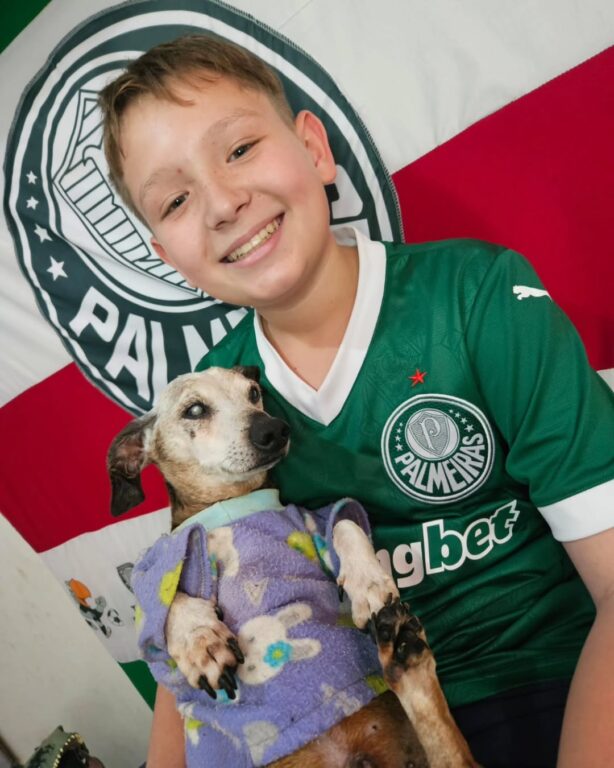 O adeus a Boby, o dachshund de 18 anos que viralizou. Conheça a história 1 508850959 1737875950147794 930435267571312802 n