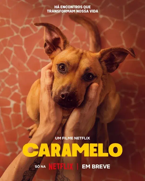 Netflix anuncia em homenagem ao dia do vira-lata, o longa "Caramelo". Veja tudo aqui! 1 526043729 18537053176022962 1593057875680178883 n
