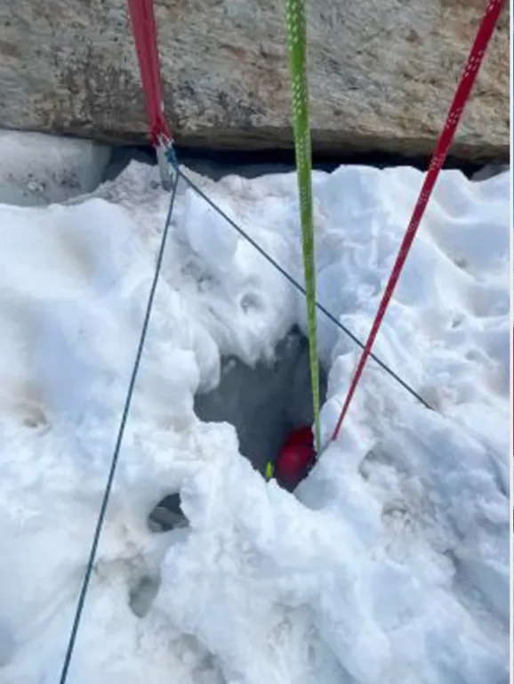 chihuahua saves hiker3 7725 96b695fde5cc43cfb311ed53dc4ab2bf e1752157014782