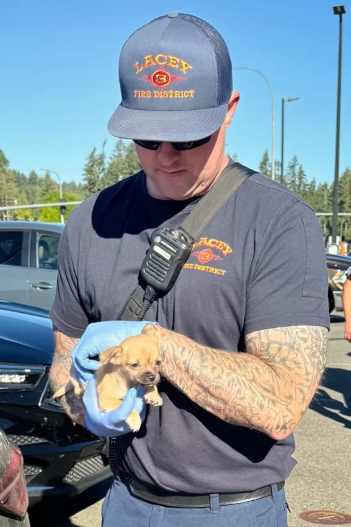 fentanyl puppy 2 071625 038927cdba3a4dba846dbadb09d25906