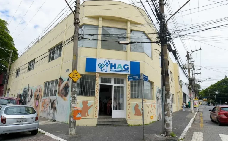 Guarulhos perde hospital veterinário gratuito: saiba o que mudou! 1 image