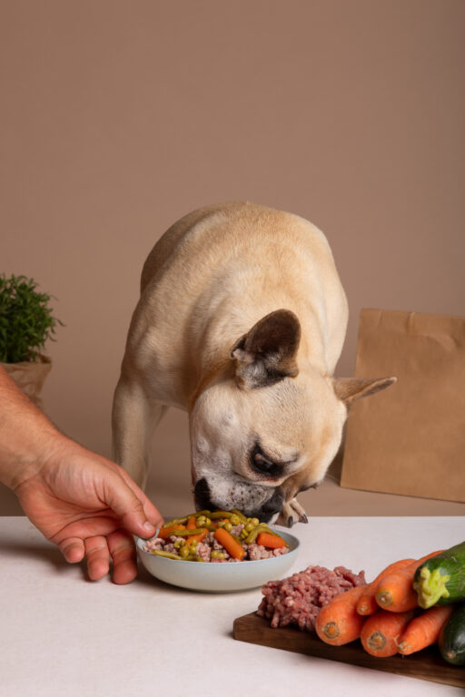 vista de um cachorro adoravel com uma tigela de comida