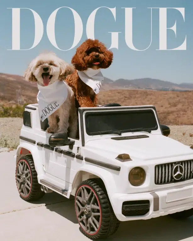 00 DOGUE2025 SABRINACARPENTER DARIAKOBAYASHIRITCH COVER 001RZ