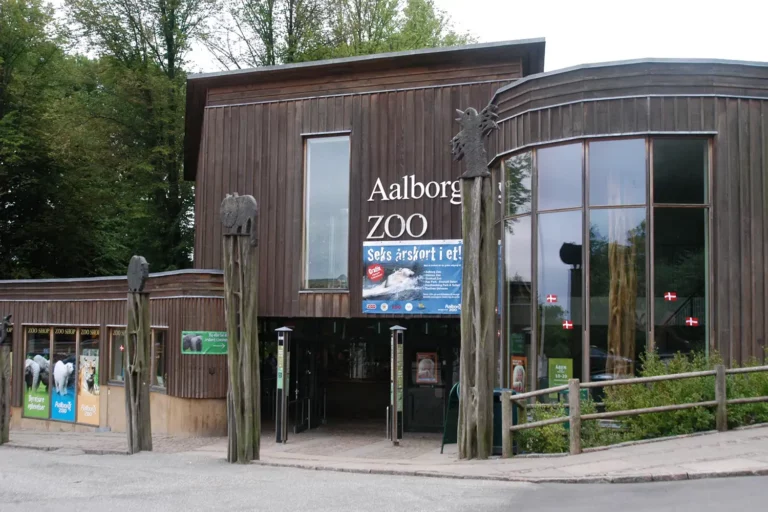 Zoológico dinamarquês pede doação de pets para alimentar predadores. Leia sobre! 1 aalborg zoo 080425 3 40360a49c95d42f5b1c9c19e8d3795d9