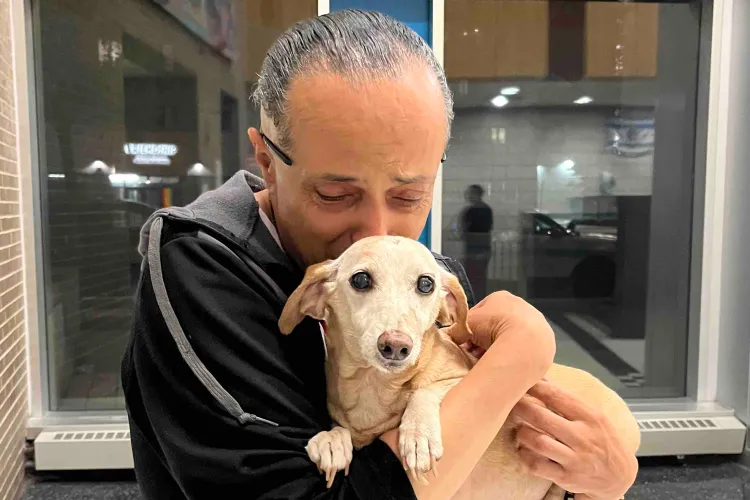Homem cego volta a abraçar seu cão-guia Bam Bam após meses de separação: Veja a história emocionante 1 bam bam service dog tout 082125 377cfd2e7cee46468aeb4fd0dc993ec9