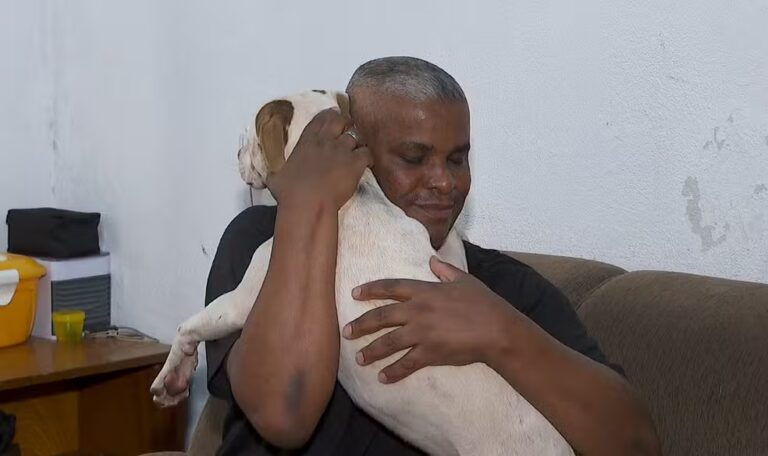 Como a adoção responsável transformou pitbull "agressivo" ? 2 cao