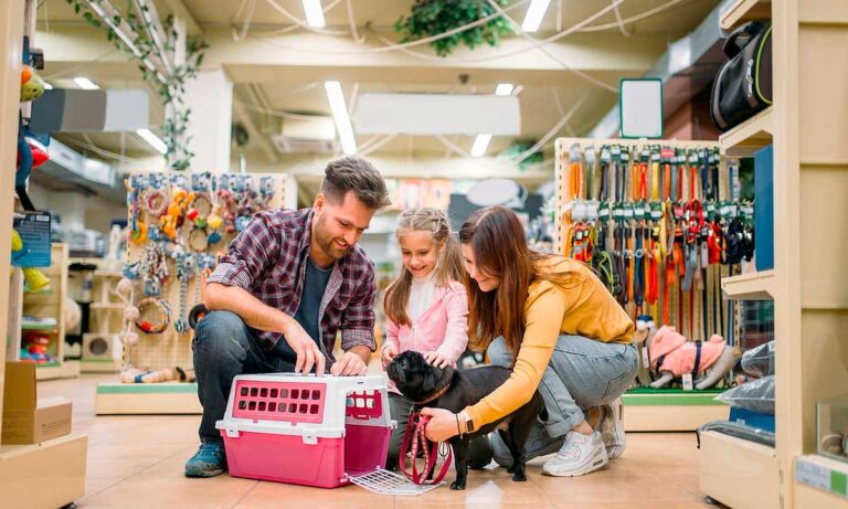 Monopólio pet pode aumentar abandono de animais no Brasil? Entenda o que alega o Instituto Caramelo 1 familia pet shop copacabana rio de janeiro