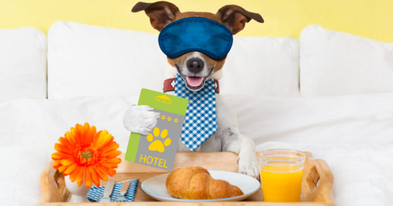 hotel para ces 1 2