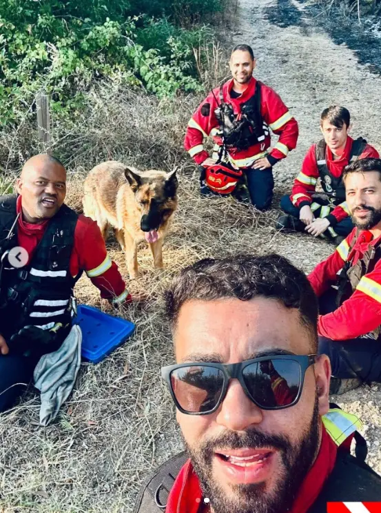 Bombeiros salvam cachorro cercado por incêndio em Portugal. Veja História! 1 image 4