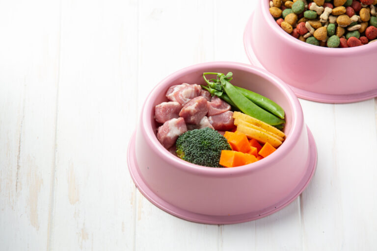 Alimentação natural crua ou cozida para cães: o que a ciência realmente mostra 1 ingredientes saudaveis de racao para animais de estimacao na superficie de madeira branca