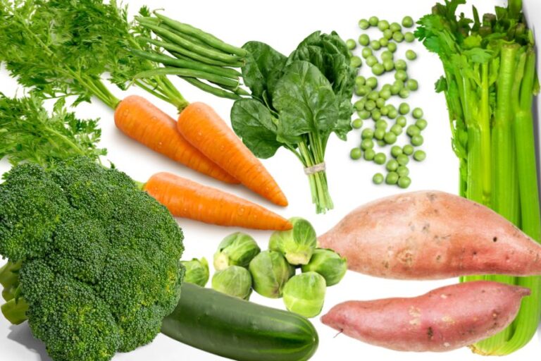 o cao chupando manga Frutas e vegetais toxicos para caes 4