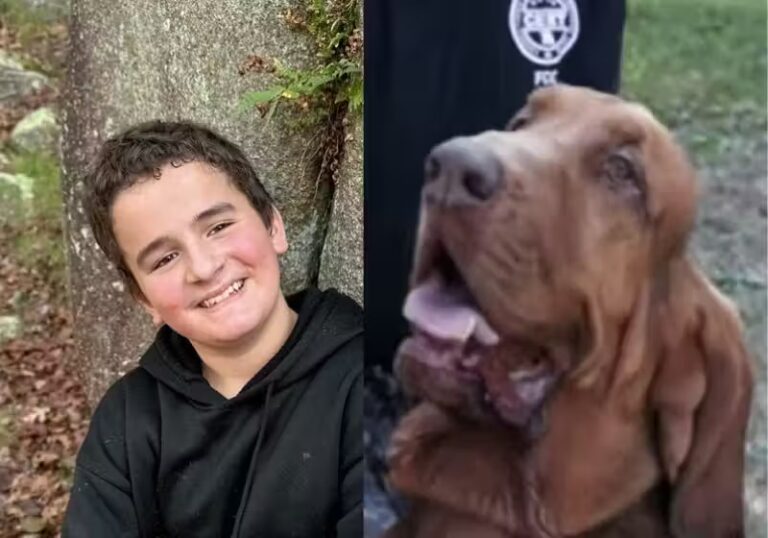 cachorro