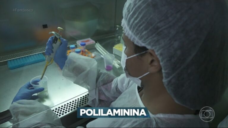 cao volta a andar apos tratamento inovador os proximos passos serao humanos