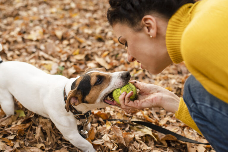 Ração vegana para cães é saudável? Entenda novo estudo! 1 close up mulher brincando com seu cachorro