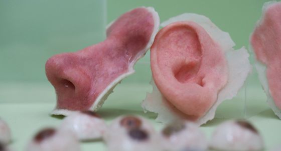 Inovação e Ética: conheça aqui as tecnologias que substituem testes de cosméticos em animais 1 impressao 3d de pele humana
