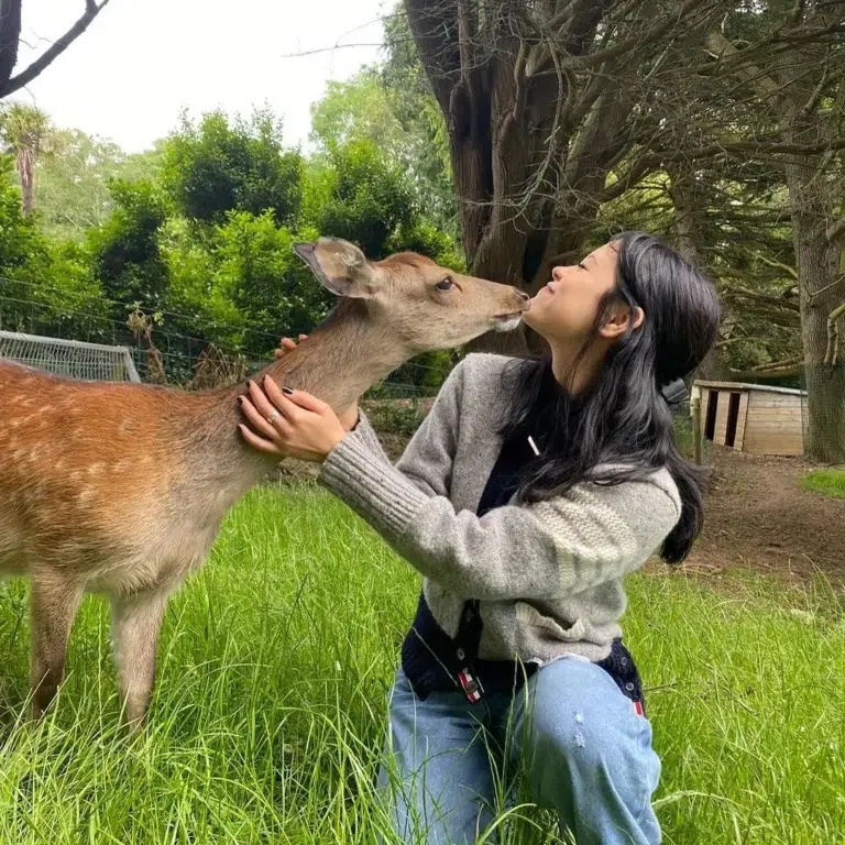 Jenna Ortega adotou cachorro durante filmagens de "Wandinha". Veja aqui 2 new photos of jenna with animals v0 xta96521os5d1