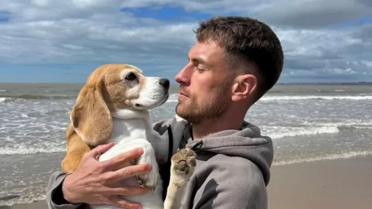 Cão de Aaron Ramsey desaparece no México: recompensa chega a US$ 20 mil. Veja o que aconteceu 1 0e812830 b3ea 11f0 9fd1 ab405da544ae.jpg