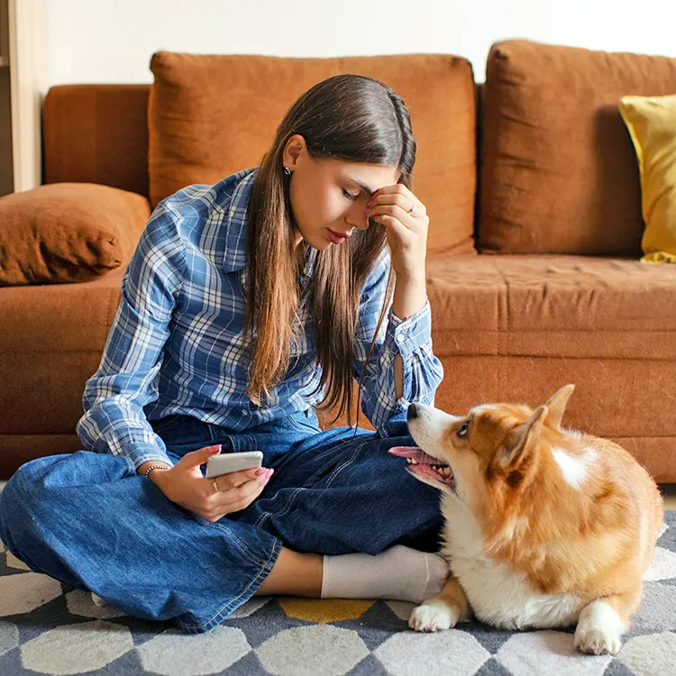 Pesquisa revela: Um em cada sete donos de pets vive em pobreza pet nos EUA. Leia aqui. 1 2025 10 21 pet care expenses Hero