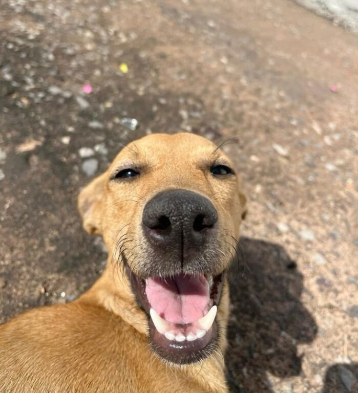 A rainha do brasil no seu dia mais triste 😜😎 e1761672057163