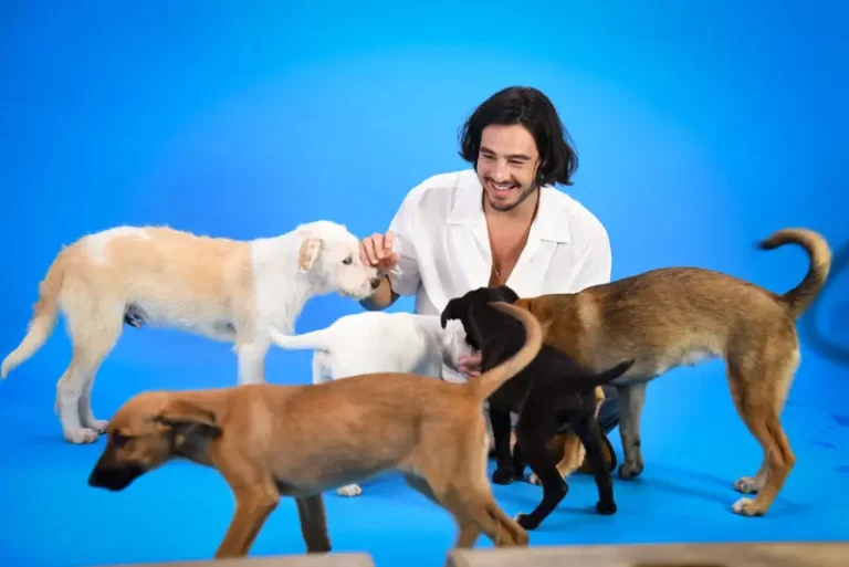 Tiago Iorc canta nova versão de “Canção de São Francisco” pela causa animal. Conheça o projeto e escute a música 1 AND 11158 scaled 1