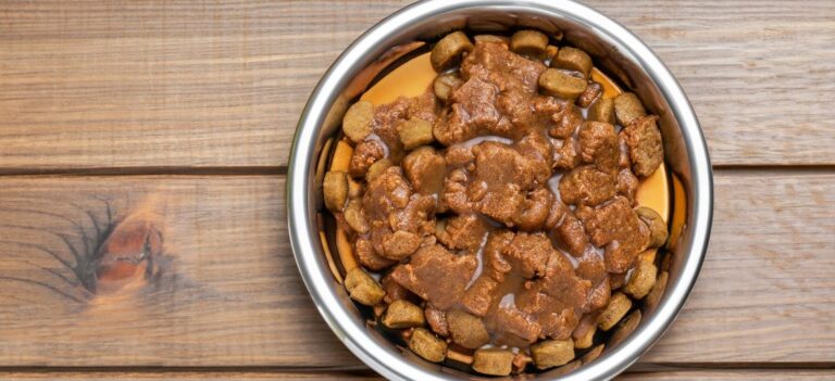 AdobeStock 632767096 1110x508 1