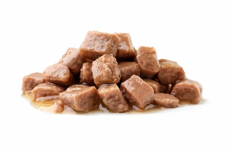 Design sem nome 2023 07 25T125425.075