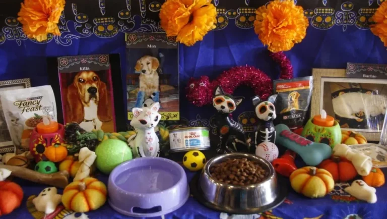 Dia de Muertos mascotas Que dia llegan las almas de los perros y gatos al altar