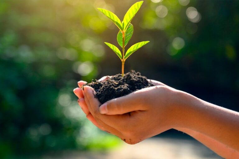 Preservacao do meio ambiente aglobal 5