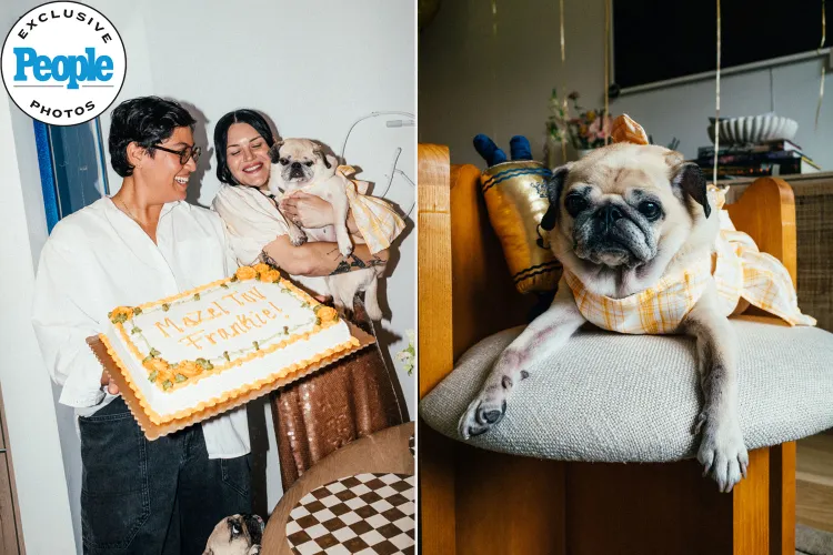 "Bark Mitzvah" canino: Frankie vira sensação nas redes socias ao ganhar festança de suas tutoras. Veja vídeo viral e fotos aqui! 1 Women Throw Bark Mitzvah For Their Dogs 13th Birthday 101425 tout 55dda658ec3545b3b73f047cd29cafe5