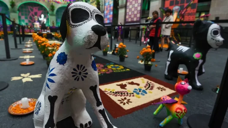 a que hora llegan mascotas difuntas 27 de octubre dia de muertos 2024