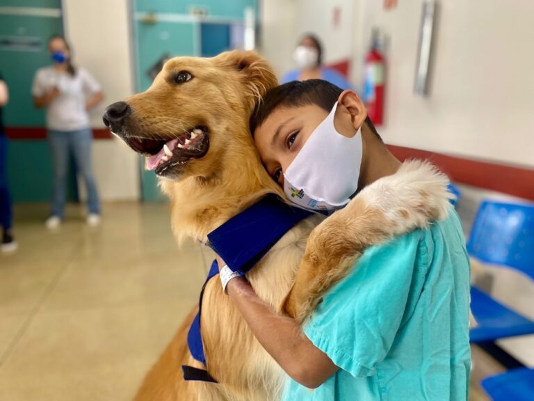 dogs em pe
