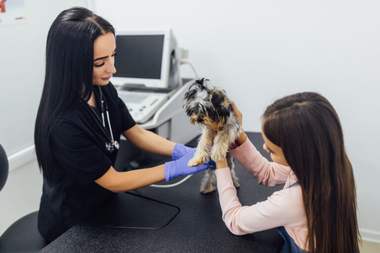 medica sorridente e sua pequena paciente com seu yorkshire terrier