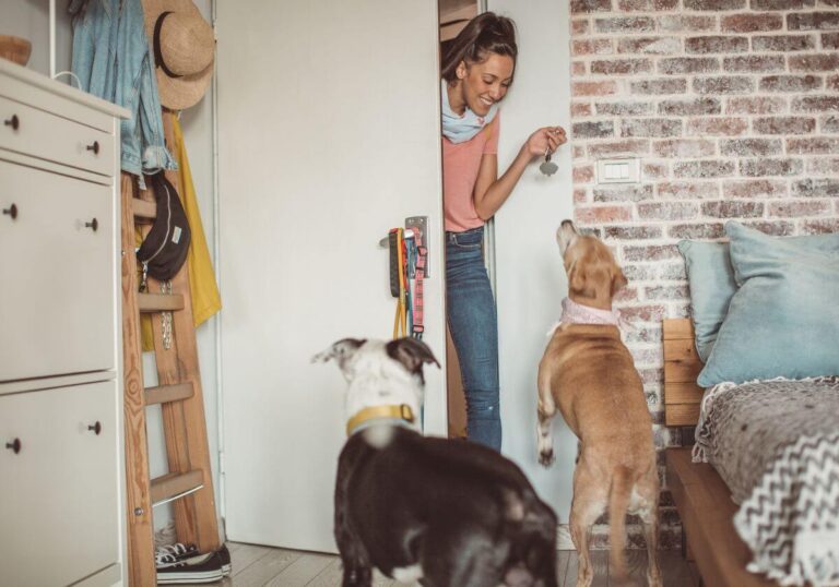 petti sitter pet Stting 1