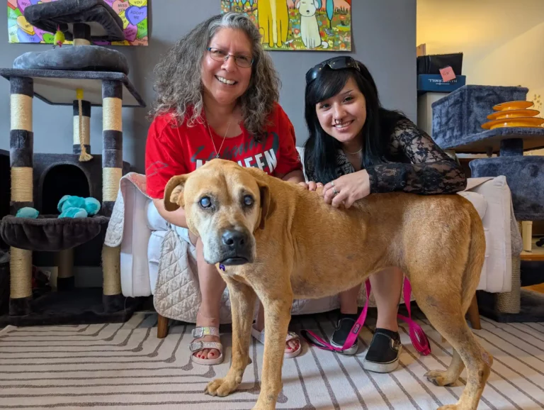 sandy dog4 101025 69ca305f36634b8787bc917f5a111a61 1