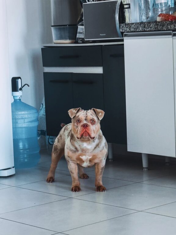 529149528 18059841023606672 1154733736861061986 n