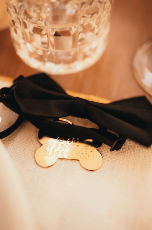 Piloto da F1: Charles Leclerc faz pedido de casamento para namorada de um jeito diferente com ajuda de seu cão. Veja como foi! 2 Screenshot 20251113 173013 Chrome