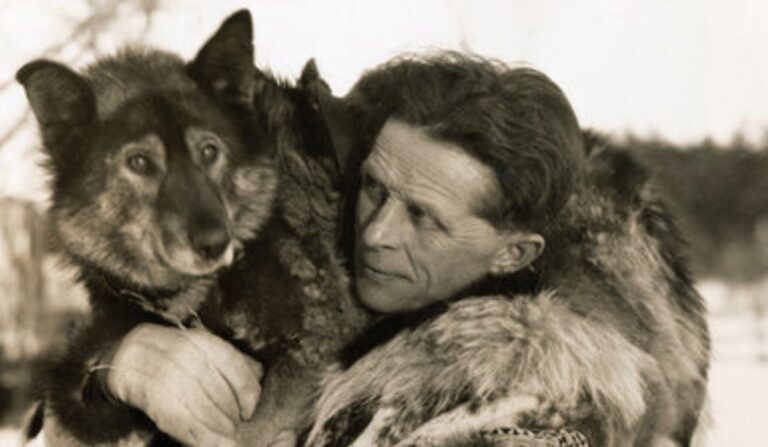 O cão herói Togo: conheça a história real por trás do filme "Togo" da Disney 2 Togo TogoSeppala Real