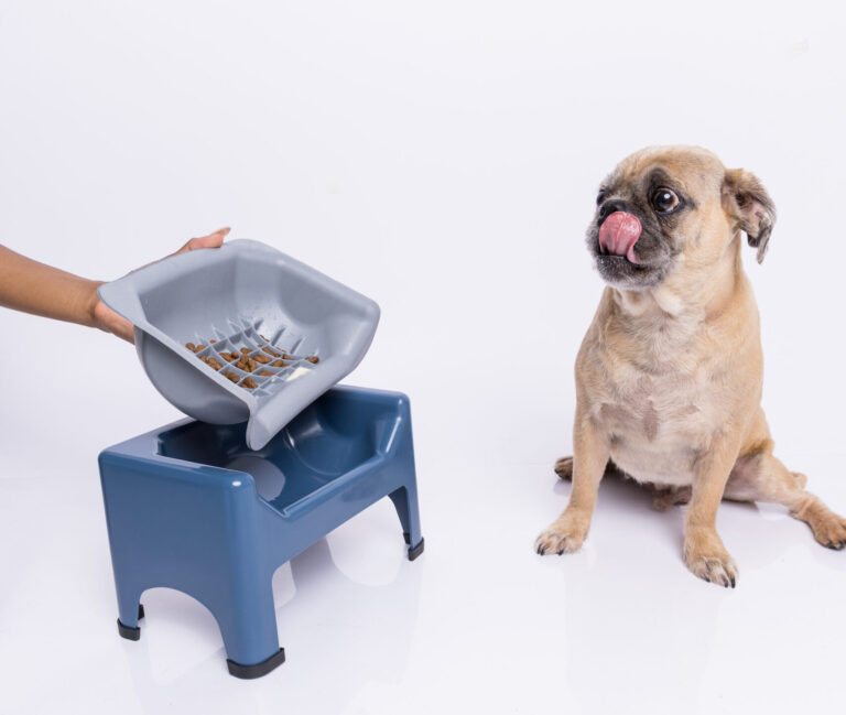 180A0373 copiar scaled e1765481699543