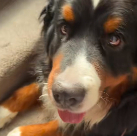 Captura de tela 2025 12 12 141916