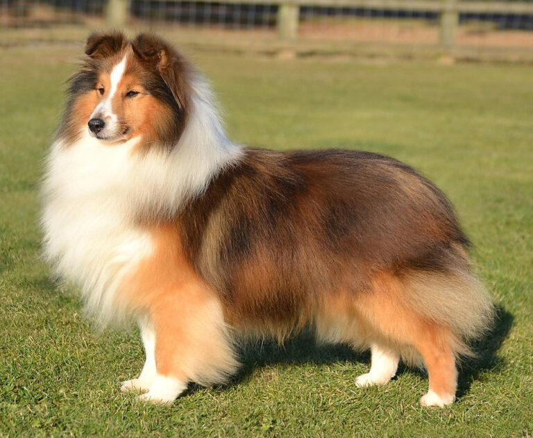 db516d 57486ac2eb0c4f08ba558a5d361eeaa7mv2