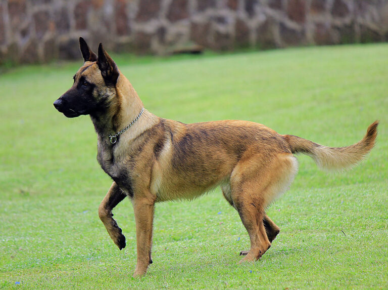 db516d b77b4e1a108040068506b49f4a402516mv2 d 2592 1728 s 2