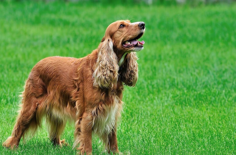 db516d f86562868e194d139aa18dcef1ba77a9mv2