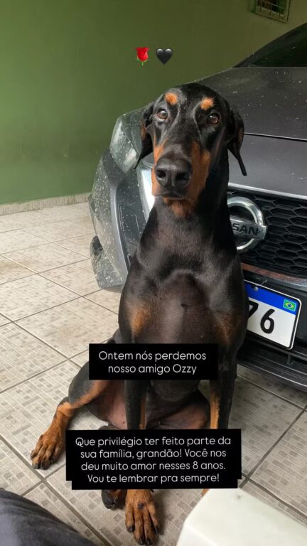 matheusantaella 2025 11 30t151534.000z