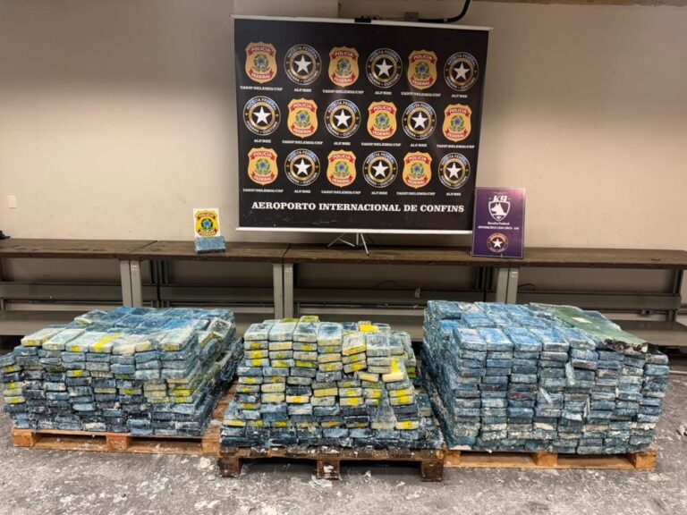 Cães farejadores da raça Pastor belga malinois encontram 1,3 tonelada de cocaína em BH: Conheça o Damon e Akan 2 whatsapp image 2025 12 05 at 08.08.18 2